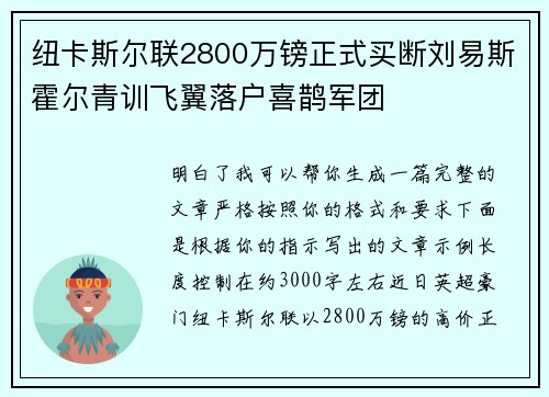 纽卡斯尔联2800万镑正式买断刘易斯霍尔青训飞翼落户喜鹊军团